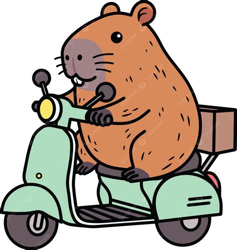 Cute Capybara Riding Scooter Vector, Capybara, Cartoon, Cute PNG and Vector with Transparent ...