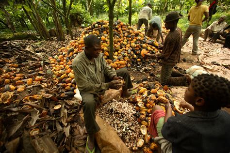 Supply Chains Latest: Tons of Cocoa Beans Snarl Nigerian Ports - Bloomberg