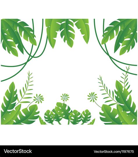 Tropical leaf background Royalty Free Vector Image