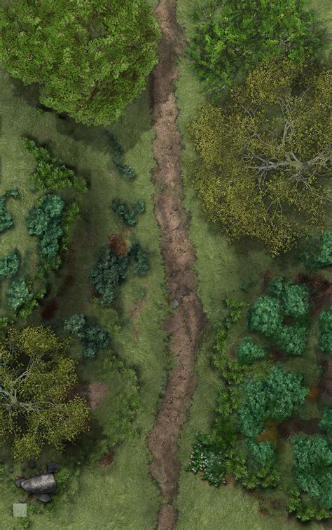 attachment.php (1250×2000) | Terrain map, Forest map, Dungeon maps