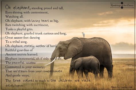 Elephant Values | Elephant quotes, Elephant, Elephant day