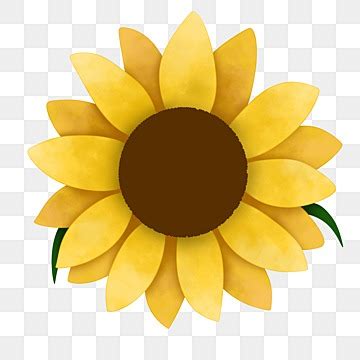 Yellow Flower Emoji Png | Best Flower Site