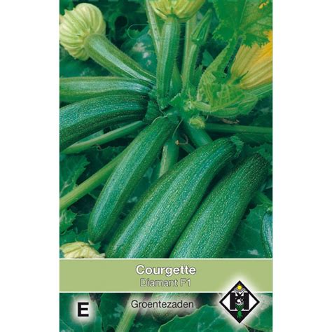 Courgette, Cucurbita pepo 'Diamant F1' -seeds-