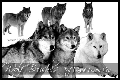 Wolf | High Res Brushes | 123Freebrushes