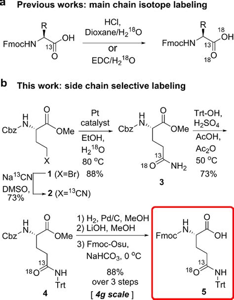 Figure 1 from Glutamine Side Chain 13C═18O as a Nonperturbative IR ...