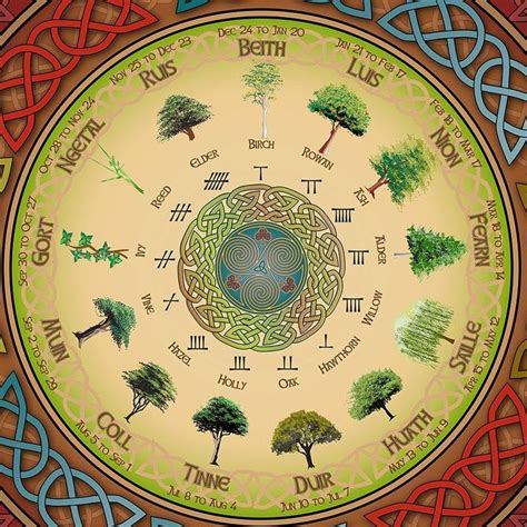 Picture | Celtic tree astrology, Celtic tree calendar, Celtic symbols