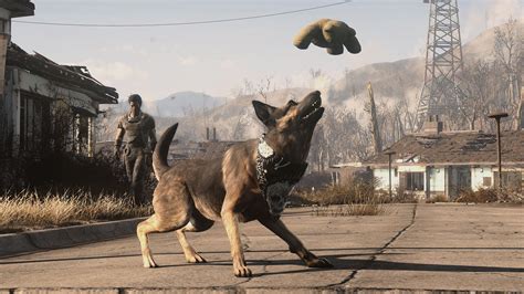 25 Crazy Things Only Super Fans Knew About Dogmeat From Fallout