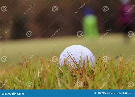 Golf Ball Close Up in Golf Coures at Thailand Stock Photo - Image of putter, play: 111073640