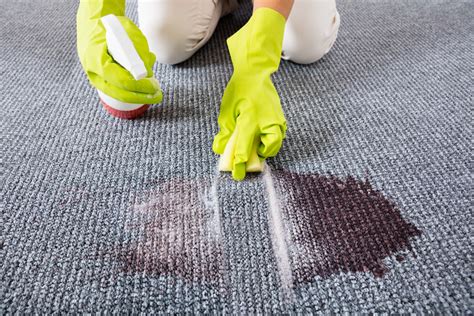 The Emergency Guide To Carpet Stains -minimise the impact