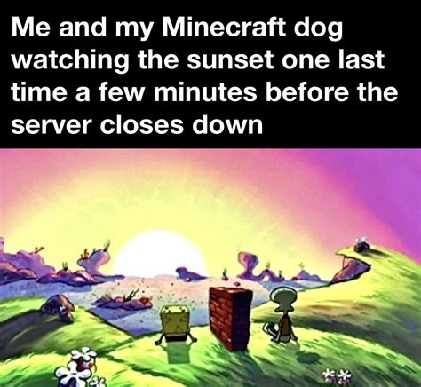 Minecraft Memes on Twitter: "The server closed down, now what? https ...