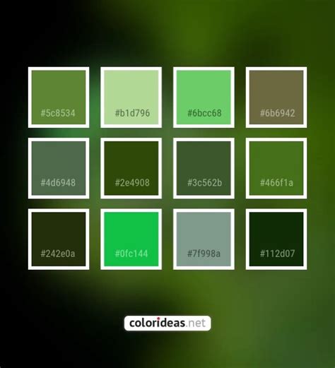 Moss Green | Color palette ideas