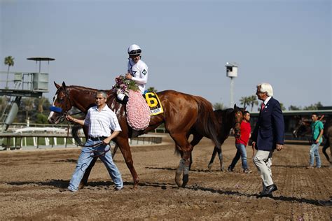 Justify after Santa Anita Derby win 2018 | Thoroughbred horse racing ...