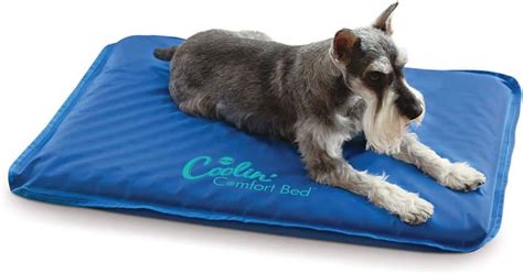 6 Best Crate Bed For Dogs (2021 Buyers Guide) - gentledogtrainers.com.au