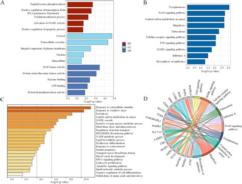 Screening of potential key ferroptosis-related genes in sepsis [PeerJ]