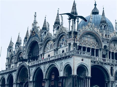 Venice Barcelona Cathedral, Venice, Explore, Building, Landmarks, Travel, Viajes, Venice Italy ...