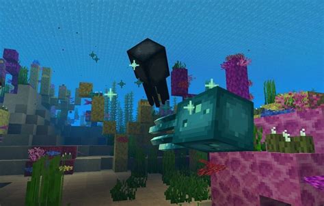 Minecraft Glow Squid vs Squid: Differences and similarities