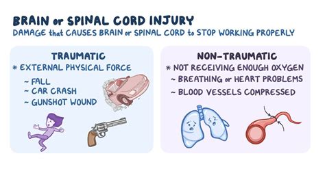 Nervous system: Brain and spinal cord injuries - Osmosis Video Library