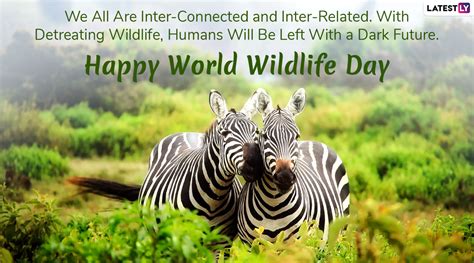 Happy World Wildlife Day 2020 Wishes: WhatsApp Stickers, GIF Images ...