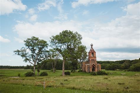 Estonia’s ‘holy forests’ threatened by demand for biofuels