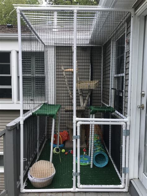 HOW TO BUILD A CATIO WITH PVC PIPES | Cat enclosure, Outdoor cat ...