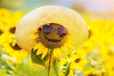 Funny sunflower in glasses and a hat, smiling Stock Photo by ©Lakschmi ...