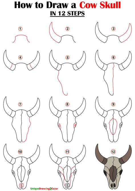 How to Draw a Cow Skull in 12 Easy Steps (with Video Tutorial)