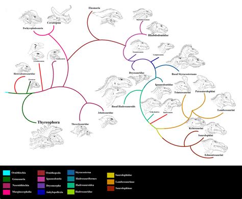 Ornithischia family tree by PlaeoGirlo on DeviantArt