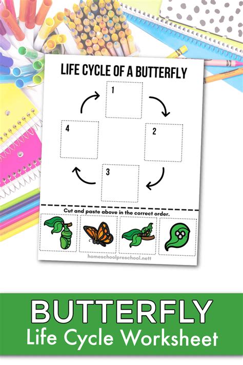 Free Butterfly Life Cycle Printable Homeschool Preschool – NBKomputer