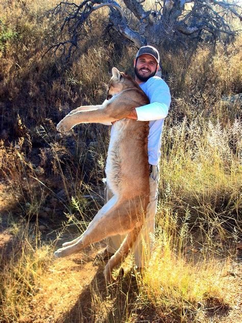 Arizona Mountain Lion Hunting Guide - AZ Cougar Hunting Outfitters