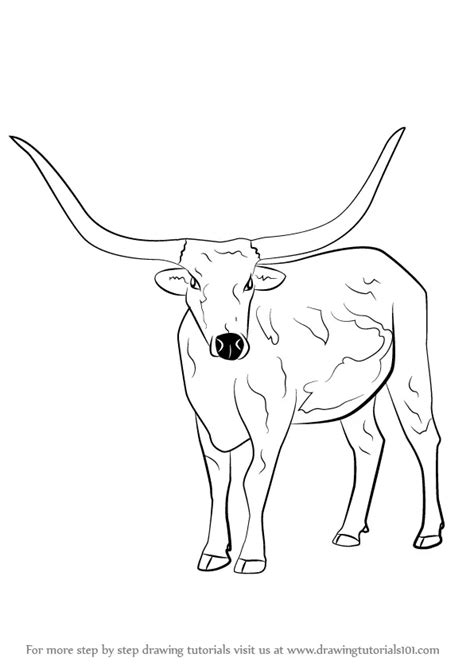 Learn How to Draw a Longhorn Cattle (Farm Animals) Step by Step ...