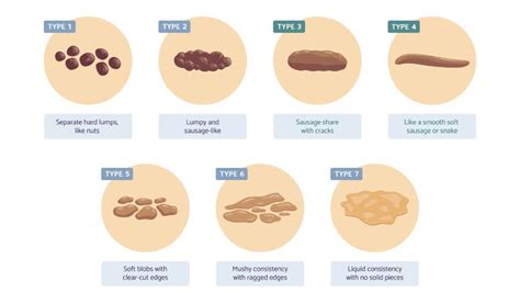 Stool Chart- Kaizen Gastro Care