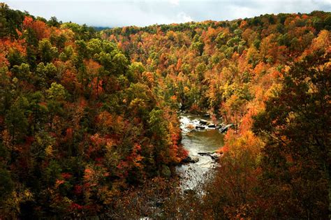 15 places to see autumn foliage in Alabama this year - al.com