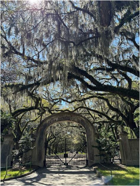 Exploring the Legacy: Historic Plantations in Savannah GA