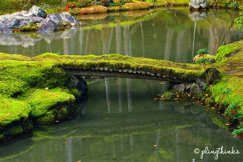 Saihoji Kokedera // Kyoto’s Magical Moss Garden | plingthinks