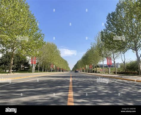 Straight road at Beihang University Shahe Campus Beijing China Stock Photo - Alamy