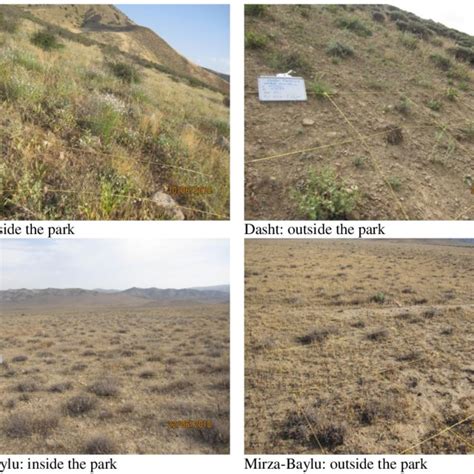 (PDF) Rangeland degradation assessment: a new strategy based on indigenous ecological knowledge ...