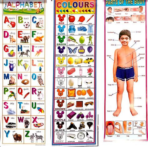 K&M Kids Vinyl Pre School Learning Wall Hanging Charts-Pack of 10 ...