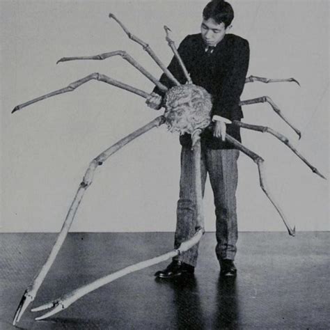 Giant Japanese Spider Crab, 1904 : r/pics