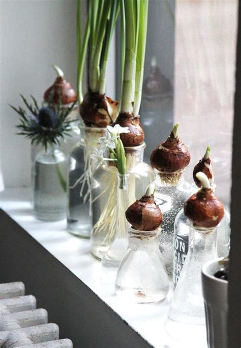 15 DIY Indoor Water Garden Ideas | Home Design And Interior