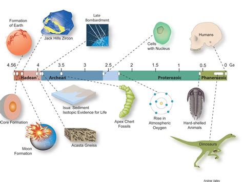 Timeline Of Human History On Earth