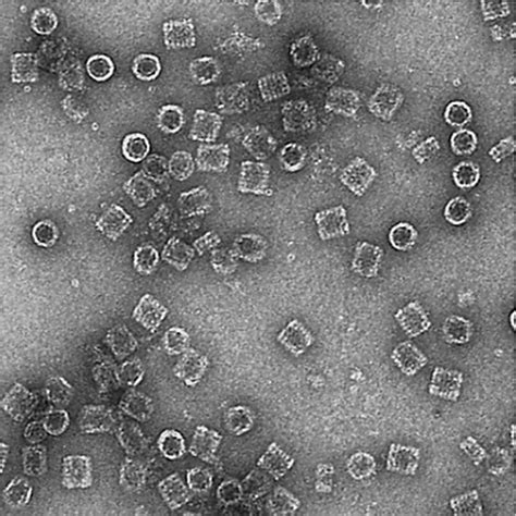 Microscopio electrónico de Transmisión - Unidad de Microscopía Avanzada UC