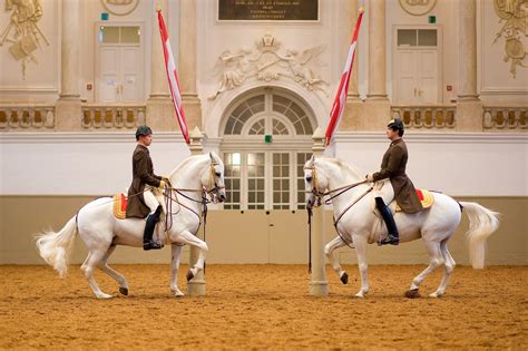 "Tweedland" The Gentlemen's club: 450 years of the Spanish Riding ...