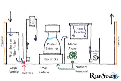 How to Design a Reef Tank Sump