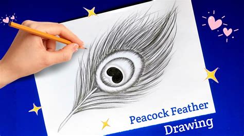 Very Easy Peacock Feather Drawing | How To Draw Peacock Feather Drawing ...