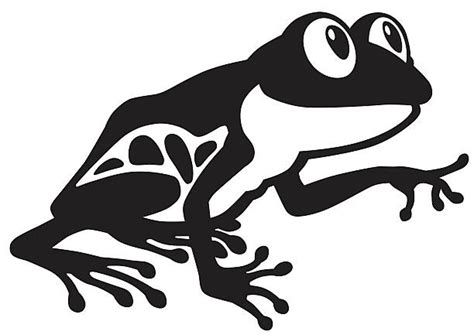 Royalty Free Red Eyed Tree Frog Clip Art, Vector Images & Illustrations - iStock