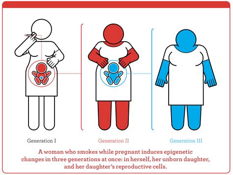 Epigenetics and Evolution | KPFA