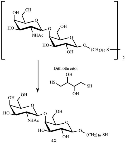 The synthesis of carbohydrate terminated thiol (42). | Download ...