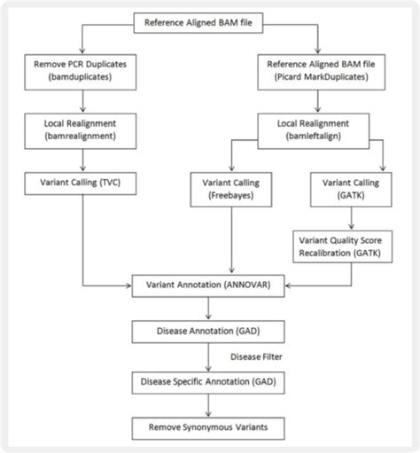 Exome sequencing analysis pipeline listing various steps and tools from ...