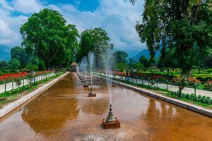 Shalimar Bagh Srinagar Tour - The World Hour