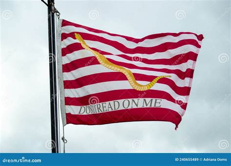 Don`t tread on me flag editorial stock image. Image of rattlesnake ...